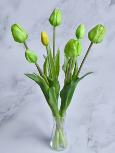 12 (76).jpg