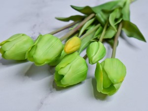 12 (78).jpg