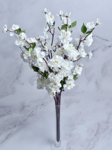 12 (8).jpg
