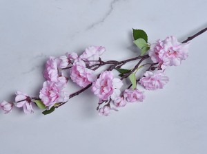 12 (2).jpg