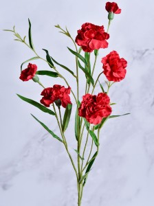 01.27 (21).JPG