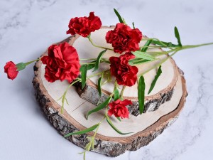 01.27 (23).JPG