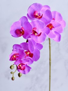 01.27 (27).JPG