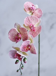 25-02 (84).jpg
