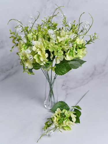 Hortensja PIK 65ER # Zieleń Cieniowana