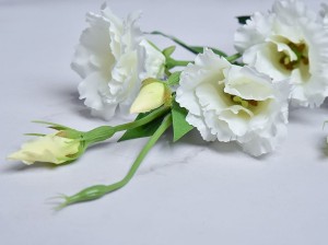 12 (120).jpg