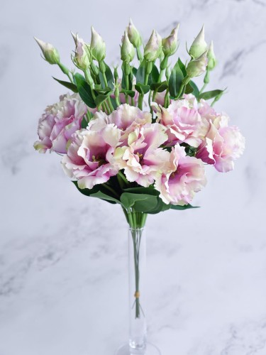 Eustoma Pik EX12 #  VIOLET Pudrowy*2026 (12 szt)