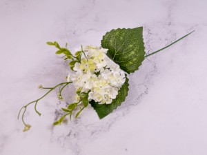 IMG_0584.jpg