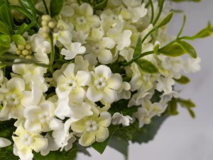 IMG_0580.jpg