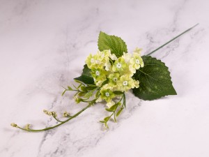 IMG_0551.jpg