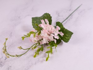 IMG_0566.jpg