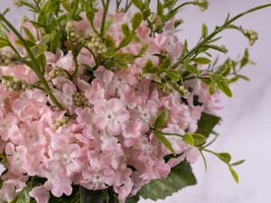 IMG_0564.jpg
