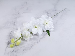 IMG_0639.jpg