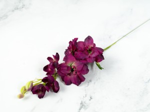 IMG_0707.jpg