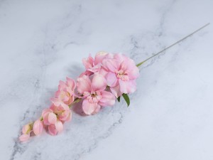 IMG_0645.jpg