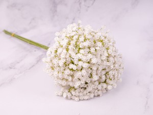 IMG_0624.jpg