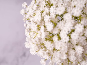 IMG_0621.jpg