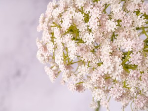 IMG_0628.jpg