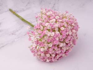 IMG_0615.jpg