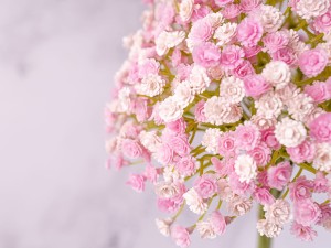 IMG_0613.jpg