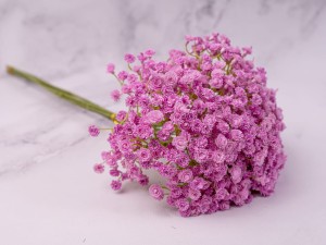 IMG_0606.jpg