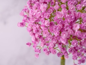 IMG_0602.jpg