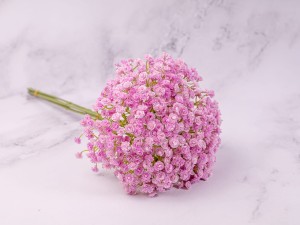 IMG_0597.jpg