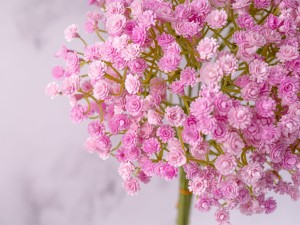 IMG_0593.jpg