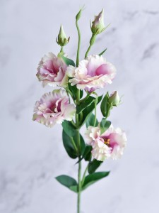 02-04 (121).jpg