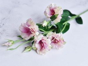 02-04 (122).jpg