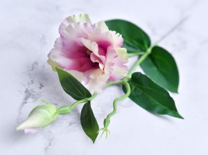 02-04 (50).jpg