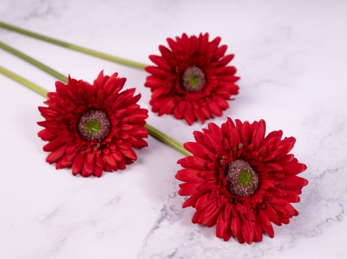 Gerbera Gałązka SG72 # Czerwień*1222 (6 szt)