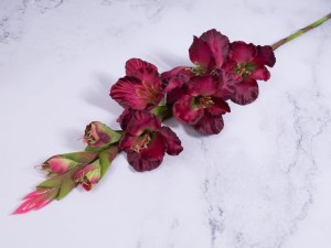 IMG_1824.jpg