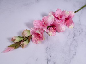 IMG_1823.jpg