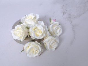 IMG_1607.jpg