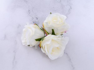 IMG_1628.jpg
