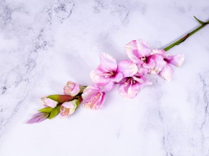 IMG_1958.jpg