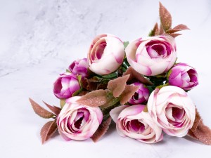 IMG_1927.jpg