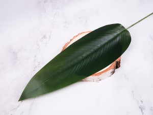 IMG_2105.jpg