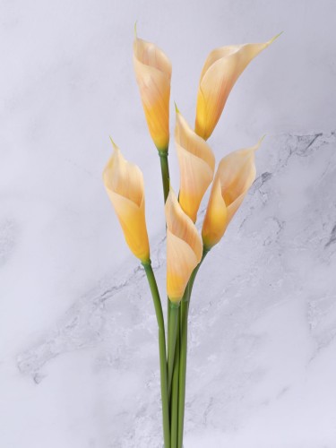 Calla Gałązka Gumowana EG1 #  Jasny Żółty Stonowany (6 szt)