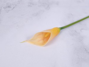 IMG_2135.jpg