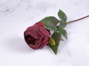 IMG_2190.jpg