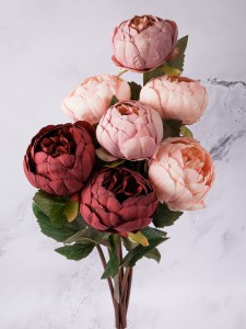 IMG_2114.jpg