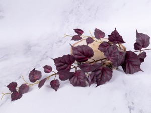 IMG_2483.jpg