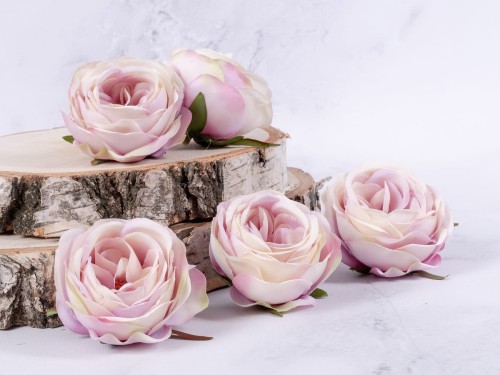 Róża Angielska 55VA # Violet Pudrowy (12 szt)