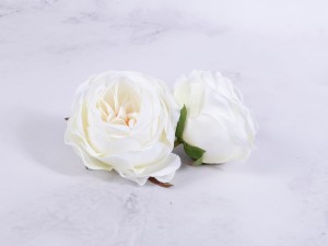 IMG_2450.jpg