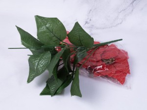 IMG_2857.jpg