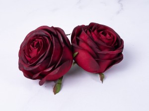 IMG_2963.jpg