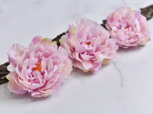 Peonia - Piwonia SN406 # Pudrowy Fiolet (12 szt) 