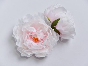 (860).JPG